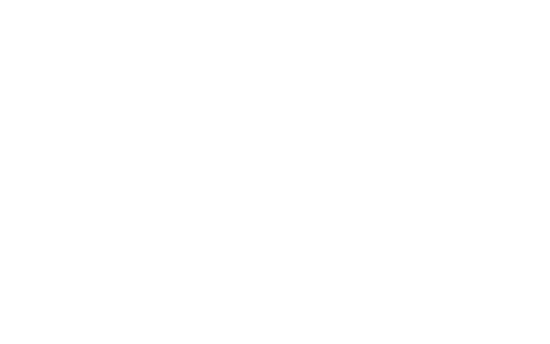 Swedish Research Council